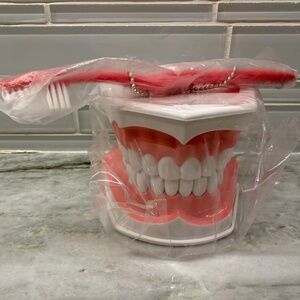 Colgate Large Teeth Educational Model with Brush unopened